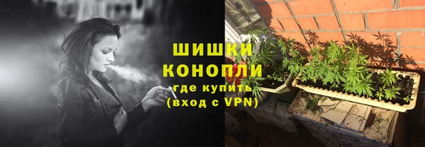 сатива Армянск