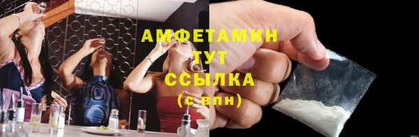 стаф Аркадак