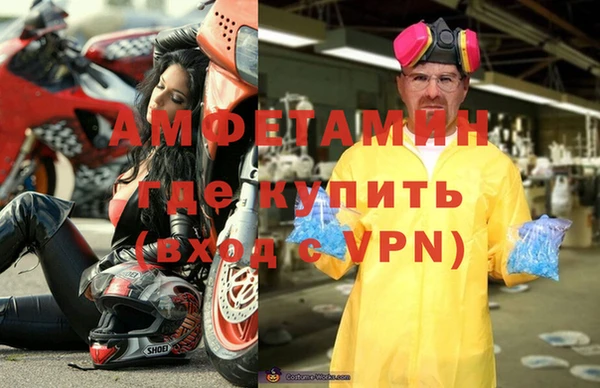 стаф Аркадак