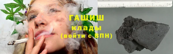 стаф Аркадак