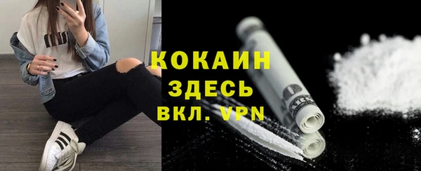 стаф Аркадак