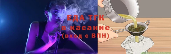 стаф Аркадак
