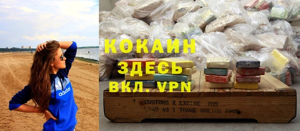 стаф Аркадак