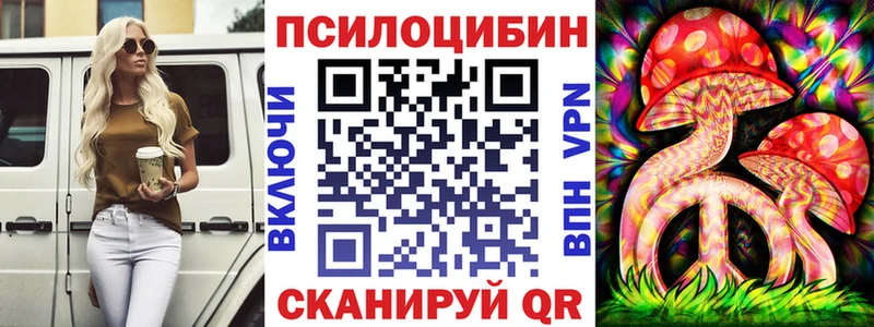 дарк нет какой сайт  Никольское  Галлюциногенные грибы Psilocybine cubensis 
